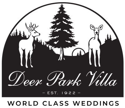 dpvlogo